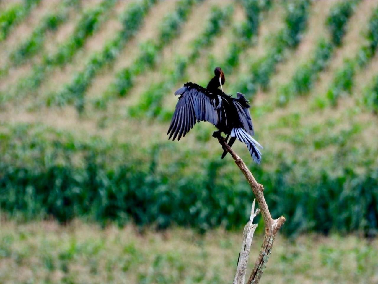 Rosetta Fields Country Lodge Henburg Park Luaran gambar